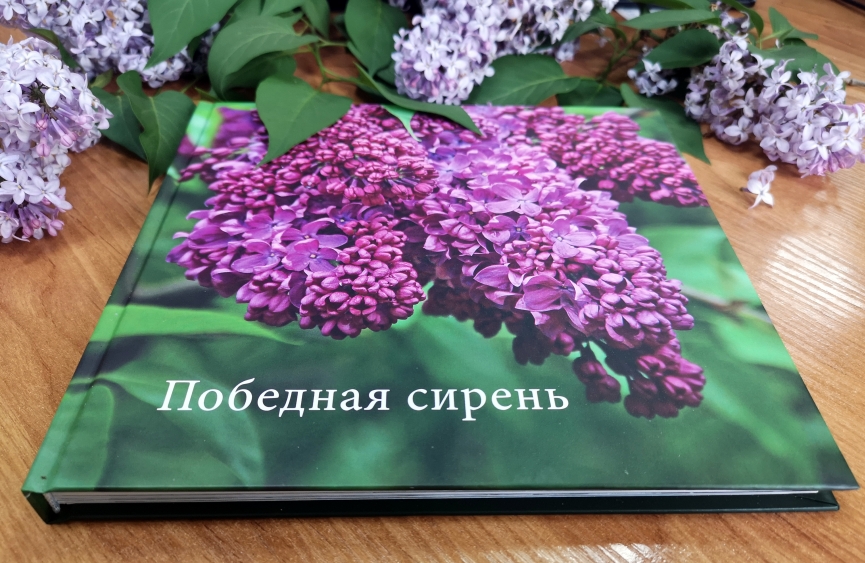 Победная сирень